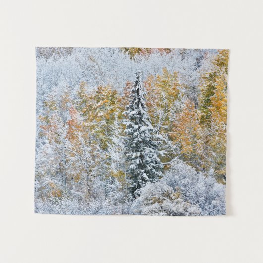 Tenture Couleurs automnales des Aspens et du col Keebler (Devant (Horizontal))