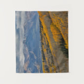 Tenture Couleurs d'automne sur Aspen Groves (Devant)