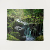 Tenture Crique, roches moussues, photographie de nature de (Devant (Horizontal))