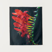 Tenture Crocosomie Lucifer Montbretia Floral (Devant)