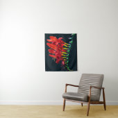 Tenture Crocosomie Lucifer Montbretia Floral (En situation)