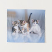 Tenture Cutest Baby Animals | 3 Tabby Kittens (Devant (Horizontal))