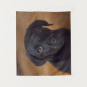 Tenture Cutest Baby Animals | Black Labrador Puppy (Devant)