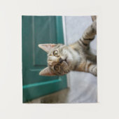 Tenture Cutest Baby Animals | Cute Tabby Kitten (Devant)