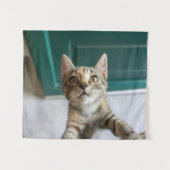 Tenture Cutest Baby Animals | Cute Tabby Kitten (Devant (Horizontal))
