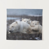 Tenture Cutest Baby Animals | Polar Bear Family Alaska (Devant (Horizontal))