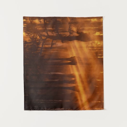 Tenture Cypress Trees | Parc d'état George Smith (Devant)