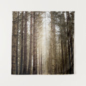 TENTURE DANS LA FORÊT (Devant)