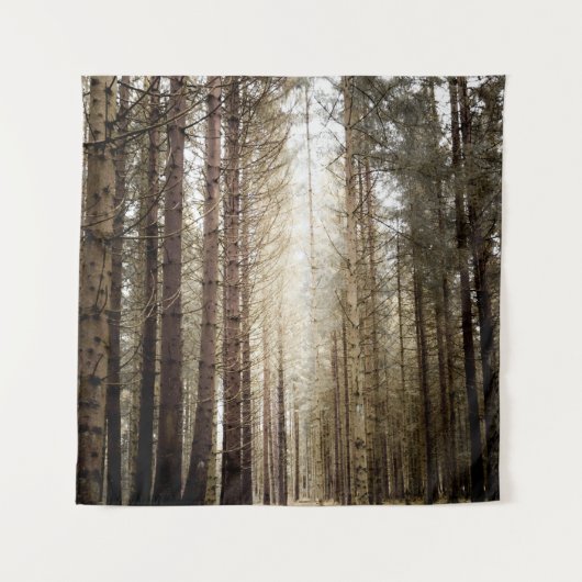 TENTURE DANS LA FORÊT (Devant)