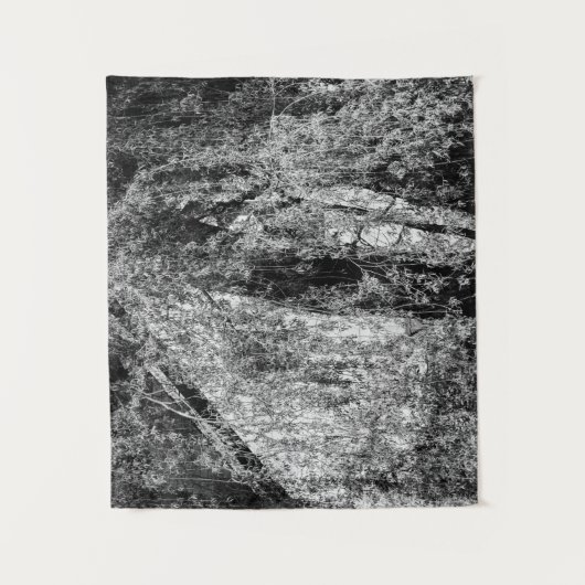 Tenture demeure (Devant)