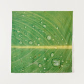 Tenture Déposer sur le plante à feuilles vertes (Devant (Horizontal))