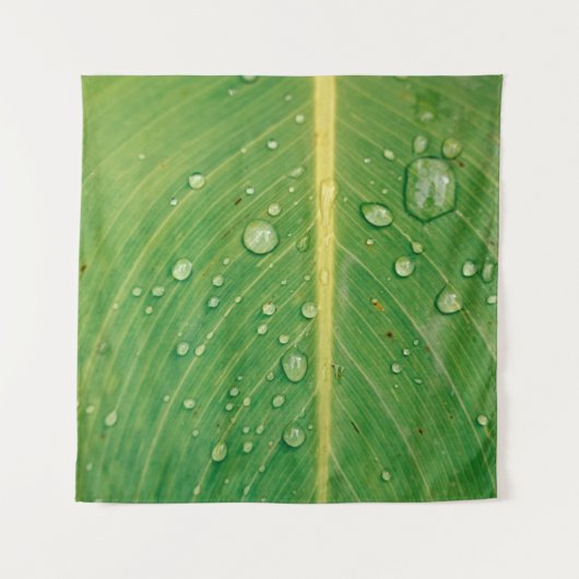 Tenture Déposer sur le plante à feuilles vertes (Devant)