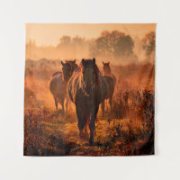 des chevaux koniks sauvages qui sont arrivés tout