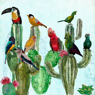 TENTURE DESERT OWLS