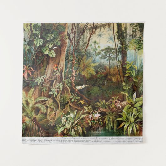 Tenture Dessin vintage des plantes forestiers tropicaux (Devant)