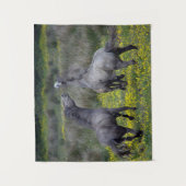 Tenture Deux chevaux Buck and Play (Devant)