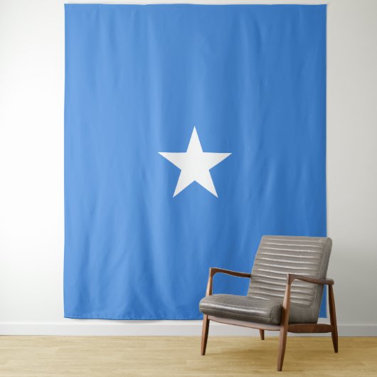 Tenture Drapeau Somalie (En situation)