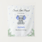 Tenture Elephant Blue Stars Boy Baby shower fond (Devant)