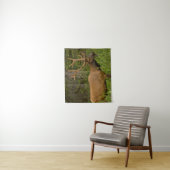 Tenture Elk mâle | Parc national Banff, Alberta, Canada (En situation)