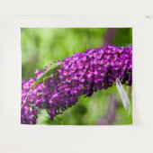 Tenture énergie katydone (Devant (Horizontal))