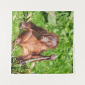Tenture Escalade Orangutan Baby (Devant (Horizontal))