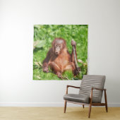Tenture Escalade Orangutan Baby (En situation)
