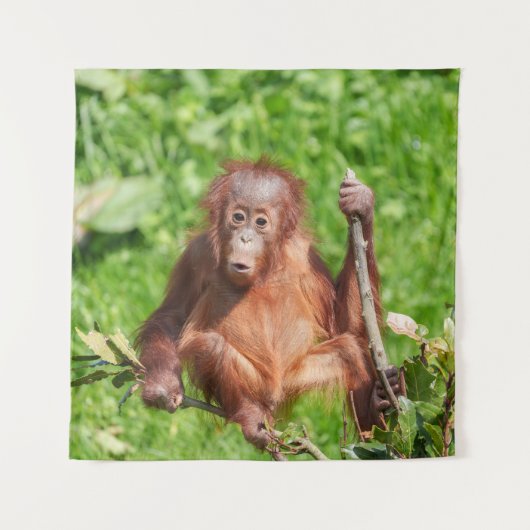 Tenture Escalade Orangutan Baby (Devant)