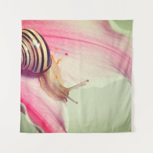 Tenture Escargot (Devant (Horizontal))