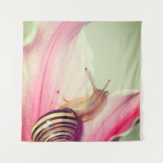 Tenture Escargot (Devant)