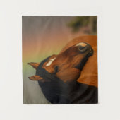 Tenture Étalon sauvage, Lumière dorée et Arc-en-ciel (Devant)