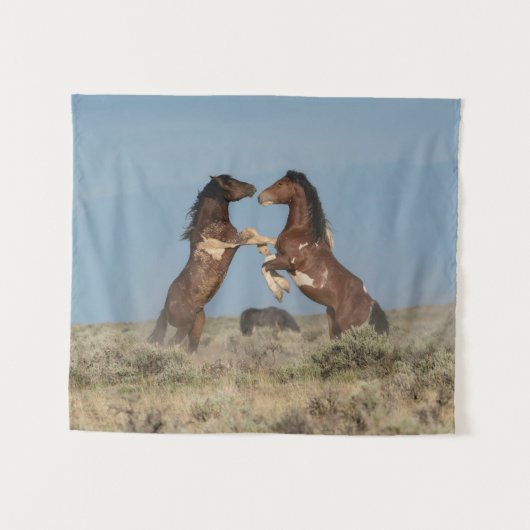 Tenture Étalons de chevaux sauvages se battant (Devant (Horizontal))