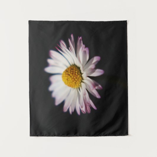 Tenture Faisée commune wtcnm (Devant)