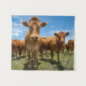 Tenture Farms | Brown Cow (Devant (Horizontal))