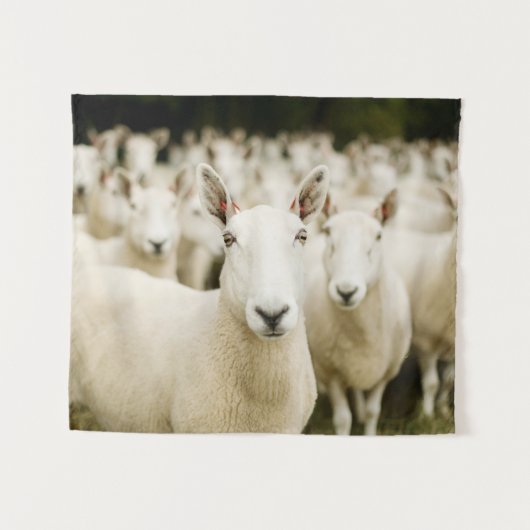 Tenture Fermes | Troupeau de moutons (Devant (Horizontal))