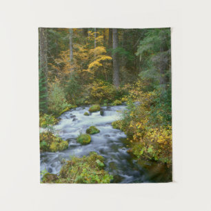 Tenture Feuillage d'automne et bordure de sapin de Douglas