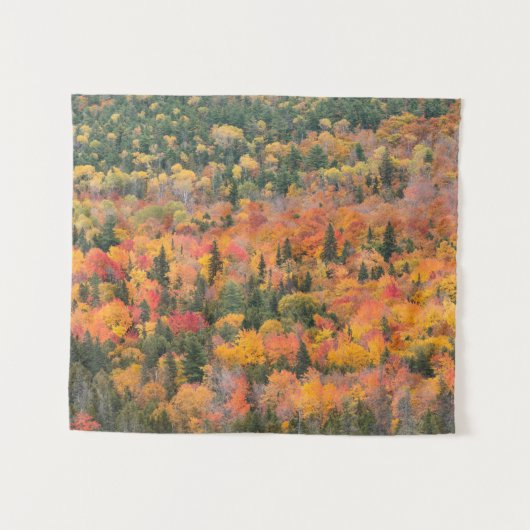 Tenture Feuillage d'automne | Péninsule de Keweenaw, Michi (Devant (Horizontal))