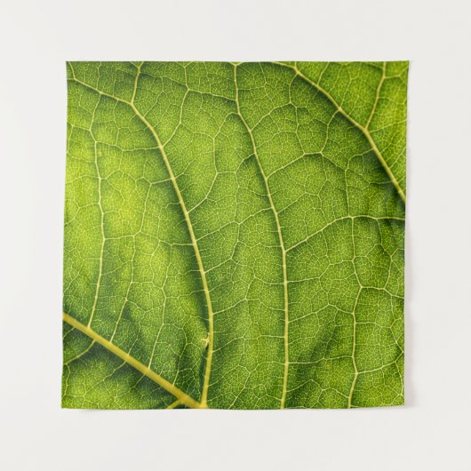 Tenture Feuille verte (Devant)