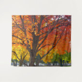 Tenture Feuilles d'automne de la photo jaune et orange (Devant (Horizontal))