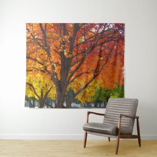 Tenture Feuilles d'automne de la photo jaune et orange