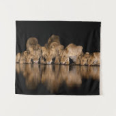 Tenture Fierté de lions buvant au point d'eau la nuit (Devant (Horizontal))