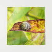 Tenture fixation calme (Devant (Horizontal))