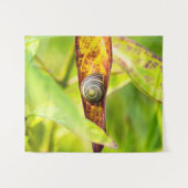 Tenture fixation calme (Devant (Horizontal))