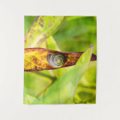 Tenture fixation calme (Devant)