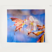 Tenture Fleur de Sakura rose Ciel bleu (Devant (Horizontal))