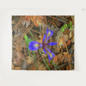 Tenture Fleur d'Iris sauvage.... (Devant (Horizontal))