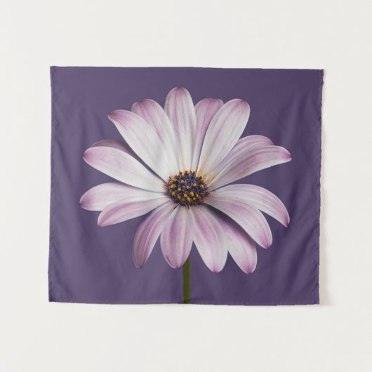 Tenture Fleurs | Blancs et marguerites (Devant (Horizontal))