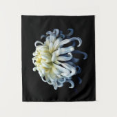 Tenture Fleurs | Chrysanthème blanc (Devant)