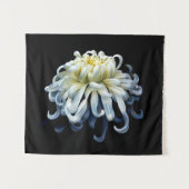Tenture Fleurs | Chrysanthème blanc (Devant (Horizontal))