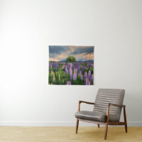 Flowers (homonymie) | Lupine Field à New Zealand