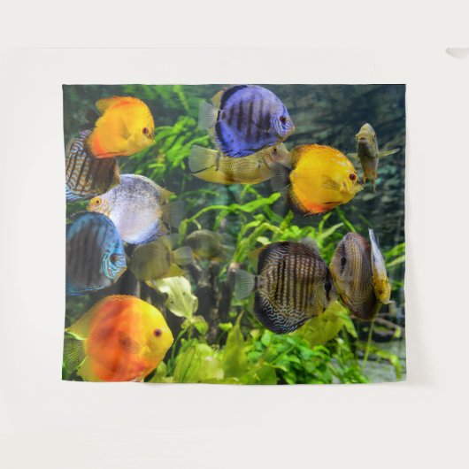 TENTURE FOND DE DÉCOR POUR POISSONS MAGNIFIQUES (Devant (Horizontal))